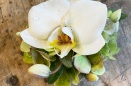 corsgae-orchid-IMG_5541
