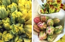 Parrot Tulips