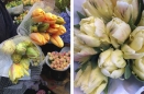 French Tulips (left) and Parrot Tulips (right)