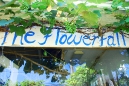 the_flower_fall