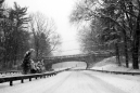 Merritt Parkway on the way to the NYC Flower Market