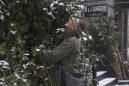 nyc_flower_market
