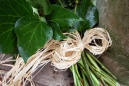 raffia_leaves