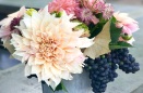 Longshore_Dahlia-and-grape-cocktail-table-arrangement